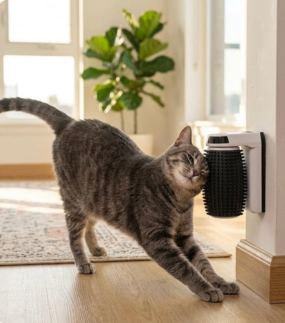 Automatic Cat Self Groomer