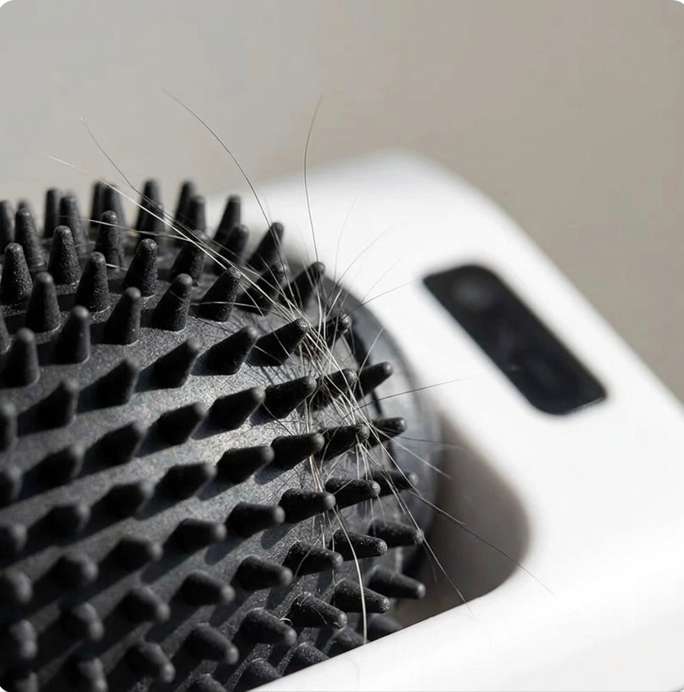 Automatic Cat Self Groomer