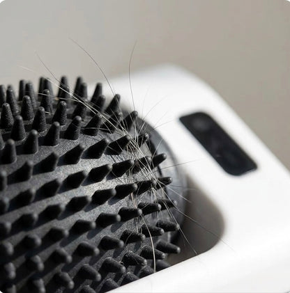 Automatic Cat Self Groomer